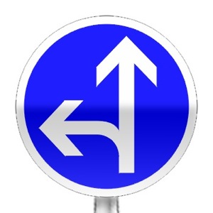 Panneau de direction obligatoire à la prochaine intersection : tout droit ou à gauche